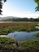 7.27.06 Oaks Bottom 021 